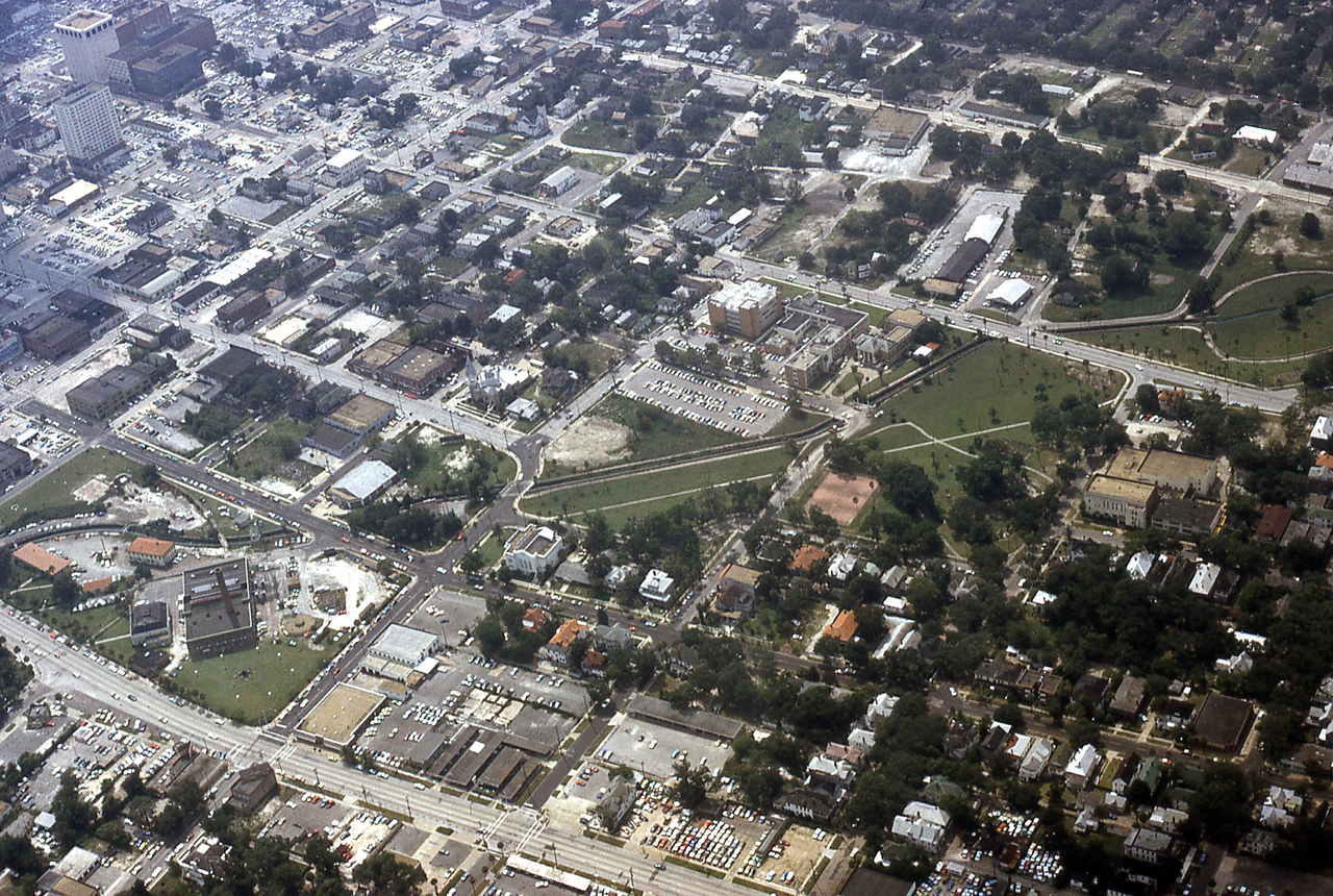 THE JAXSON | The oak tree that remembers Black Bottom — Jacksonville Today